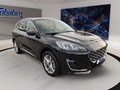 Daumennagel 3 - Ford Kuga 2.5 Duratec Plug-in-Hybrid PHEV Vignale