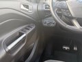 Daumennagel 17 - Ford Kuga 2.0 TDCi ST-Line 4x4 Start/Stopp (EURO 6)