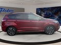 Daumennagel 4 - Ford Kuga 2.0 TDCi ST-Line 4x4 Start/Stopp (EURO 6)