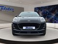 Daumennagel 2 - Ford Puma 1.0 EcoBoost Titanium Massage/NAVI/PDC