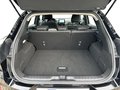 Daumennagel 6 - Ford Puma 1.0 EcoBoost Titanium Massage/NAVI/PDC