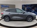 Daumennagel 4 - Ford Kuga ST-Line X 2.5 Klima LED Navi HeadUp B&O