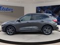 Daumennagel 8 - Ford Kuga ST-Line X 2.5 Klima LED Navi HeadUp B&O