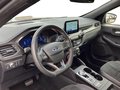 Daumennagel 10 - Ford Kuga ST-Line X 2.5 Klima LED Navi HeadUp B&O