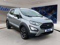 Daumennagel 3 - Ford EcoSport 1.0 EcoBoost Active/LEDER/LED/B&O