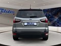 Daumennagel 6 - Ford EcoSport 1.0 EcoBoost Active/LEDER/LED/B&O