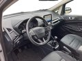 Daumennagel 10 - Ford EcoSport 1.0 EcoBoost Active/LEDER/LED/B&O