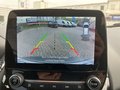Daumennagel 28 - Ford EcoSport 1.0 EcoBoost Active/LEDER/LED/B&O