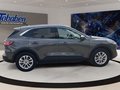 Daumennagel 4 - Ford Kuga 2.5 Duratec Plug-in-Hybrid PHEV Titanium (E