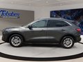 Daumennagel 8 - Ford Kuga 2.5 Duratec Plug-in-Hybrid PHEV Titanium (E