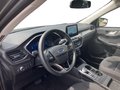 Daumennagel 10 - Ford Kuga 2.5 Duratec Plug-in-Hybrid PHEV Titanium (E