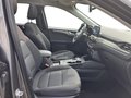 Daumennagel 16 - Ford Kuga 2.5 Duratec Plug-in-Hybrid PHEV Titanium (E