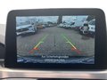 Daumennagel 20 - Ford Kuga 2.5 Duratec Plug-in-Hybrid PHEV Titanium (E