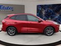 Daumennagel 4 - Ford Kuga 2.0 EcoBlue ST-Line Diesel/Autom/Kmera/Head