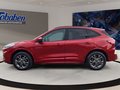 Daumennagel 8 - Ford Kuga 2.0 EcoBlue ST-Line Diesel/Autom/Kmera/Head