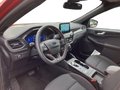 Daumennagel 10 - Ford Kuga 2.0 EcoBlue ST-Line Diesel/Autom/Kmera/Head