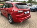 Daumennagel 18 - Ford Kuga 2.0 EcoBlue ST-Line Diesel/Autom/Kmera/Head