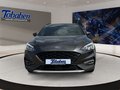 Daumennagel 2 - Ford Focus 1.5 EcoBoost Active X/ Pano/Automatik