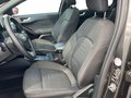 Daumennagel 13 - Ford Focus 1.5 EcoBoost Active X/ Pano/Automatik