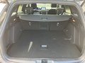 Daumennagel 21 - Ford Focus 1.5 EcoBoost Active X/ Pano/Automatik