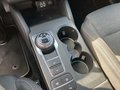 Daumennagel 25 - Ford Focus 1.5 EcoBoost Active X/ Pano/Automatik
