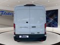 Daumennagel 6 - Ford E-Transit Kastenwagen Heck Trend Kasten