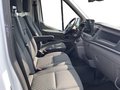 Daumennagel 11 - Ford E-Transit Kastenwagen Heck Trend Kasten