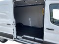 Daumennagel 12 - Ford E-Transit Kastenwagen Heck Trend Kasten