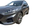 Daumennagel 17 - Ford Kuga ST-Line X 2.0 Autom. LED Navi Klima HeadUp