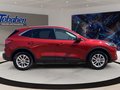 Daumennagel 4 - Ford Kuga 2.5 Duratec PHEV Titanium/1.Hd/SHZ/NAVI