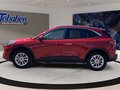 Daumennagel 8 - Ford Kuga 2.5 Duratec PHEV Titanium/1.Hd/SHZ/NAVI