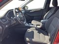 Daumennagel 10 - Ford Kuga 2.5 Duratec PHEV Titanium/1.Hd/SHZ/NAVI