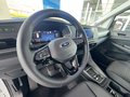 Daumennagel 24 - Ford Transit Connect Trend Kasten