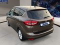 Daumennagel 18 - Ford C-Max 1.0 Titanium Navi+TWA+SHZ+PDC+FSH+WIPA