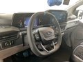 Daumennagel 10 - Ford Transit Custom 2.0 EcoBlue Aut MS-RT Kasten*SHZ*
