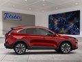 Daumennagel 6 - Ford Kuga ST-Line 2.5 PHEV LED Navi Klima WiPa
