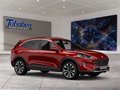 Daumennagel 7 - Ford Kuga ST-Line 2.5 PHEV LED Navi Klima WiPa
