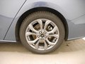 Daumennagel 6 - Ford Focus 1.5 EcoBlue ST-Line X PANO/AUT./FGS