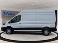 Daumennagel 8 - Ford Transit FT 350 (TTS) 2.0 TDCi DPF Mild-Hybrid 35