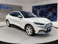 Daumennagel 3 - Ford MUSTANG MACH-E White Edition NAVI/SHZ/360°/1 H.