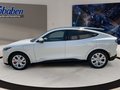 Daumennagel 8 - Ford MUSTANG MACH-E White Edition NAVI/SHZ/360°/1 H.