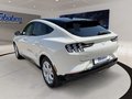Daumennagel 18 - Ford MUSTANG MACH-E White Edition NAVI/SHZ/360°/1 H.