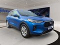 Daumennagel 3 - Ford Kuga 1.5 EcoBoost Titanium WIPA/NAVI/KAMERA/SHZ