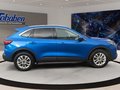 Daumennagel 4 - Ford Kuga 1.5 EcoBoost Titanium WIPA/NAVI/KAMERA/SHZ