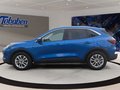 Daumennagel 8 - Ford Kuga 1.5 EcoBoost Titanium WIPA/NAVI/KAMERA/SHZ