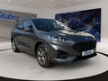 Daumennagel 3 - Ford Kuga 2.0 EcoBlue ST-Line X Start/Stopp (EURO 6d)
