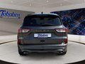 Daumennagel 6 - Ford Kuga 2.0 EcoBlue ST-Line X Start/Stopp (EURO 6d)