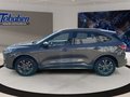 Daumennagel 8 - Ford Kuga 2.0 EcoBlue ST-Line X Start/Stopp (EURO 6d)