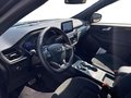 Daumennagel 10 - Ford Kuga 2.0 EcoBlue ST-Line X Start/Stopp (EURO 6d)