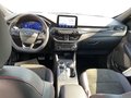 Daumennagel 11 - Ford Kuga 2.0 EcoBlue ST-Line X Start/Stopp (EURO 6d)